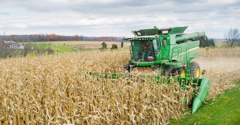 This Is a Bad Look: In Current Farm Bill, Conservatives Prop Up Rich Farmers