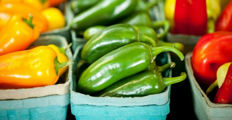 2 Conservative Lawmakers Express Concern Farm Bill Hurts Taxpayers, Encourages Government Dependency