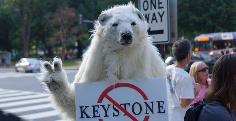 1 Year After Trump’s Approval, Where Keystone XL, Dakota Pipelines Stand