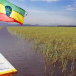 New Leadership Could Revitalize This Important African Nation