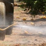 Court Order for EPA to Ban Pesticide Spotlights Need for ‘Transparency’ Rule