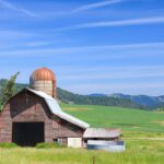 3 Reforms Conservatives Should Fight For in the Farm Bill