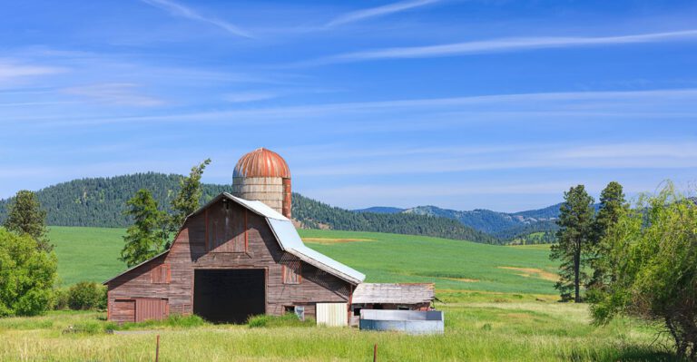 3 Reforms Conservatives Should Fight For in the Farm Bill
