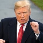 If Trump Ended Birthright Citizenship by Executive Order, He'd Be Enforcing Existing Law