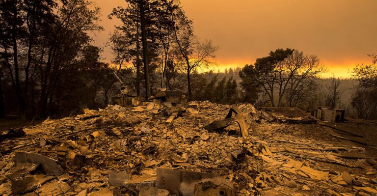 Trump Is Right: Poor Land Management Is Leading to Bigger California Fires