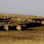 The New Farm Bill Is So Bad That Supporters Don’t Want Its Details Released