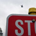 Trump’s Executive Order Freezing Federal Pay Saves Taxpayers From Extraordinary Pay Increases