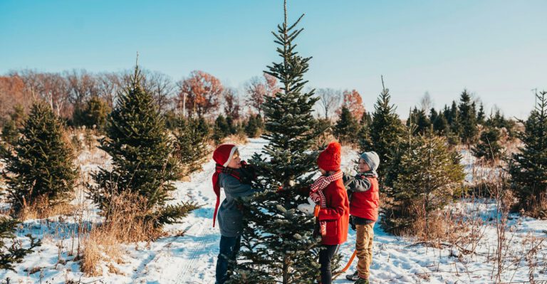 Michigan Brothers Push Back Against Town’s Retaliation in Christmas Tree Farm Fight