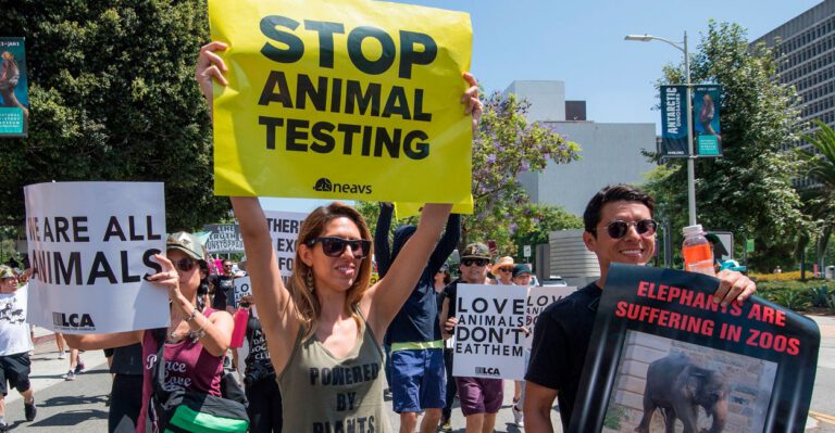 Trump EPA Praised for Plan to End Use of Animal Testing in 15 Years