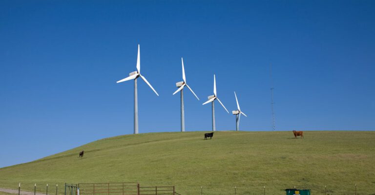 Scrap Energy Tax Favors for Better Reform