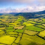 Don’t Let COVID-19 Undermine Ireland’s Hard-Won Economic Freedom