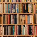 Instead of ‘Decolonizing Your Bookshelf,’ Let’s Halt the ‘Closing of the American Mind’