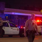 Ambush Attacks on Police: Sadly Predictable Result of Lies, Overheated Rhetoric