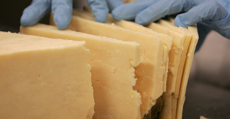 Cheeseheads Prompt Federal Agency to Back Off Regulatory Threat