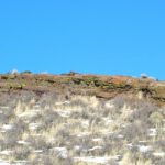 Should the Government Own So Much Land Out West? Some States Want It Back