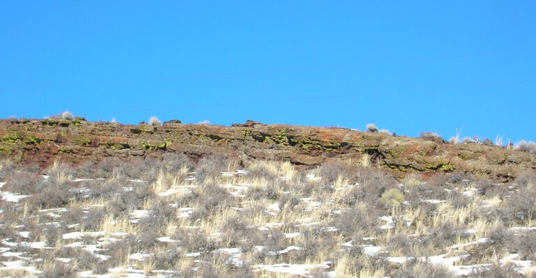 Should the Government Own So Much Land Out West? Some States Want It Back
