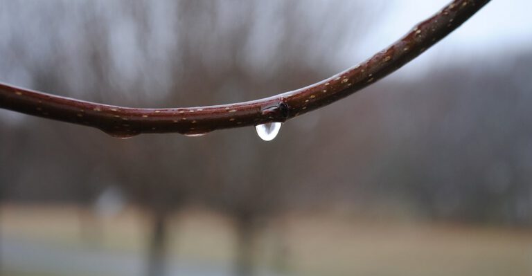 The Lousy Weather Isn’t the Reason for Our Disappointing Economy