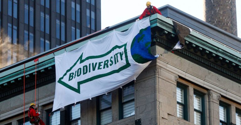 ‘Vanishing Habitats’ for Wildlife Greatly Exaggerated in Push for ‘Biodiversity,’ Biden’s ’30 by 30′ Land Grab