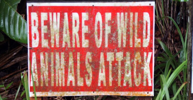 ‘Eat or Be Eaten’: Academe’s Cancel Culture Law of the Jungle