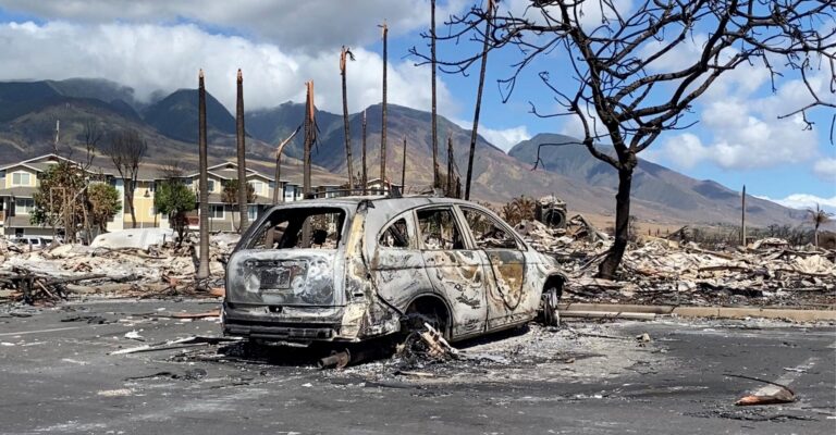 Biden’s Misguided Priorities: Ukraine, Illegal Aliens  vs. Hawaii