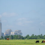 Dozens of Energy Groups Ask Congress to Overturn Biden’s Green Power Plant Rules