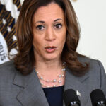 Kamala Harris' ‘Intruder’ Crack: Joke or Serious Comment on Self-Defense?