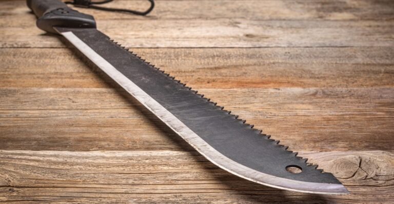 Illegal Immigrant Arrested at Capitol Carrying Machete Had Been Previously Held, Released