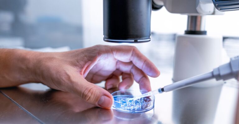 From the Perspective of the Embryo, IVF Is Not Very Pro-Life