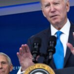 On the Left, They Knew They Were Lying to Us All Along