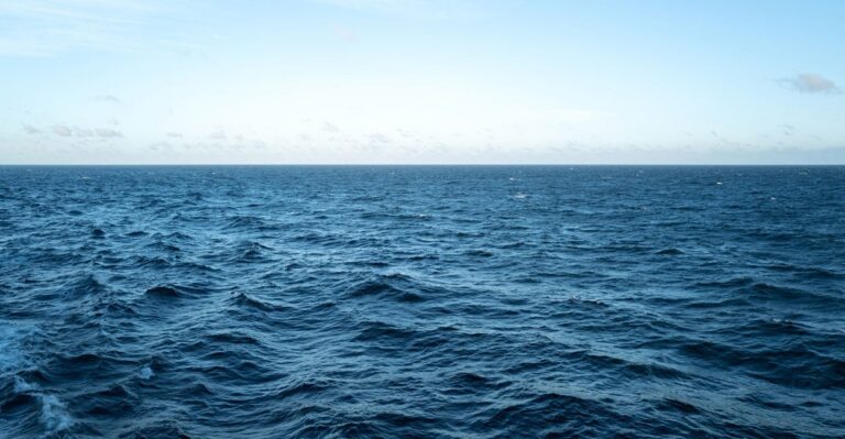 Sea Levels Defy Climate Alarmism, New Data Show