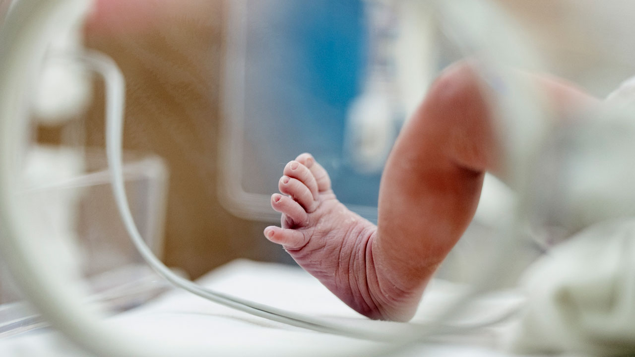 Virginians, Don’t Fall for the Abortion Amendment Deception