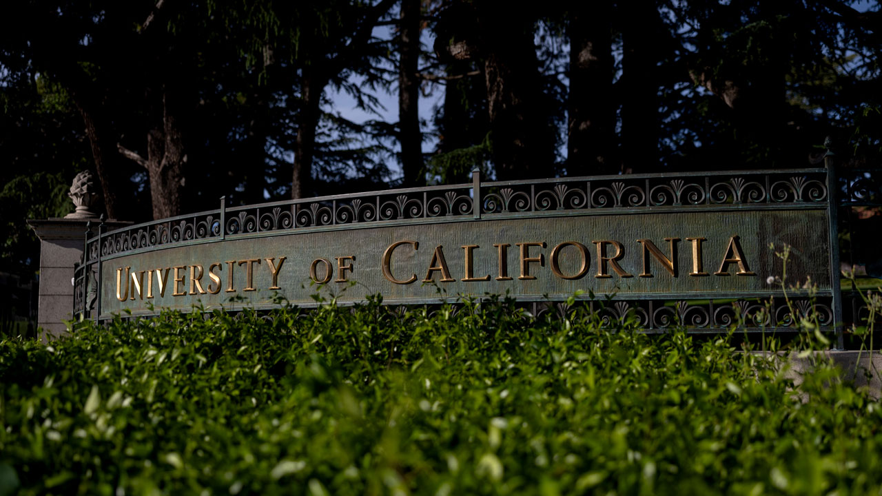 Why Higher Education Deserve to Lose Federal Support Over DEI