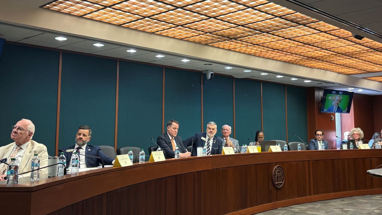 Georgia Election Committee Discusses Ballot-on-Demand, Needs of Latinos and Disabled
