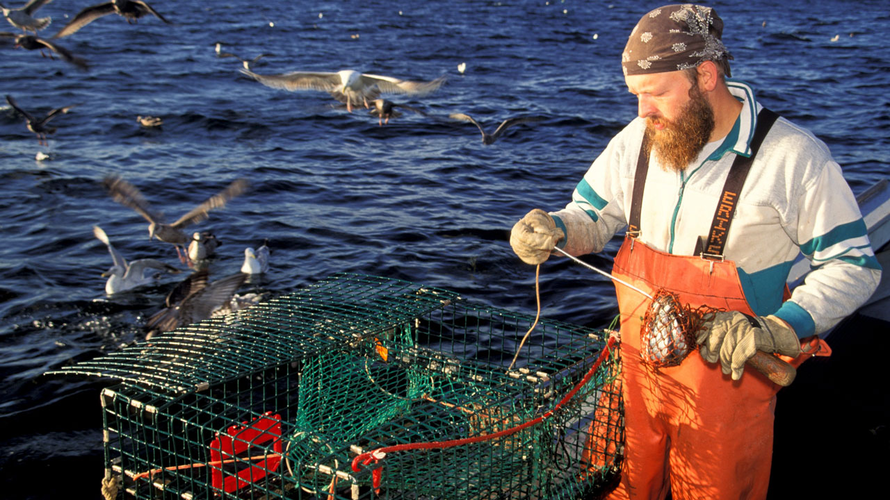 One of America’s Largest Industries Is in Danger, New Documentary Warns 