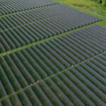 Aerial view of a large solar farm with long rows of photovoltaic panels arranged in parallel lines across a grassy field.