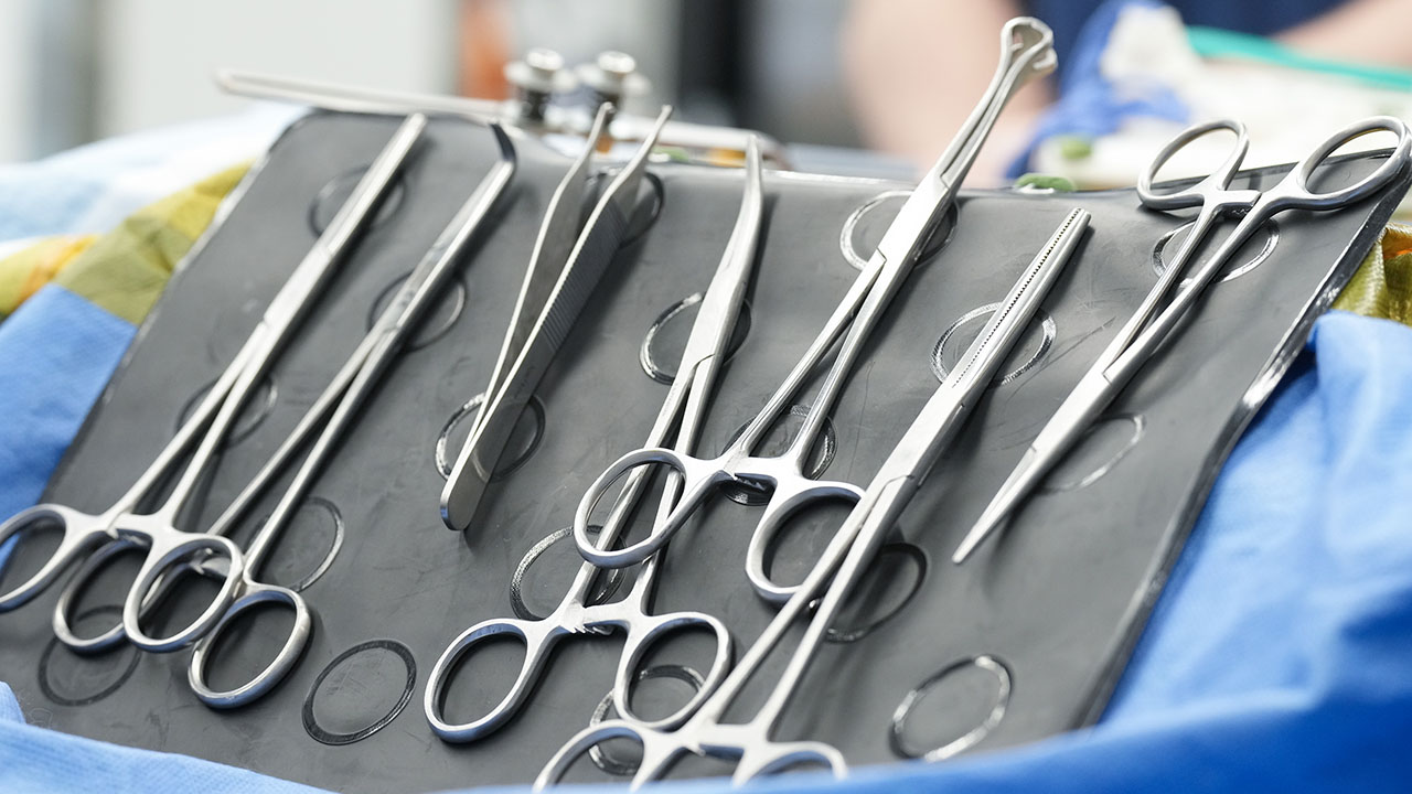 Medical Associations Must Publicly Condemn Genital Surgeries on Minors, Watchdog Group Says
