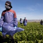 5 Things to Know About Agriculture Amnesty Bill