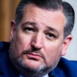 Cruz: Senate Bill 'Designed to Ensure Democrats Never Lose Another Election'