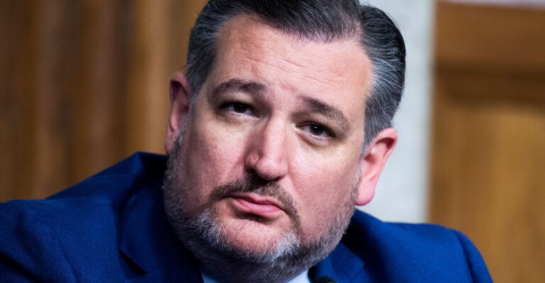 Cruz: Senate Bill ‘Designed to Ensure Democrats Never Lose Another Election’