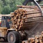 Tariffs on Canadian Softwood Lumber Hitting US Homebuyers Hard