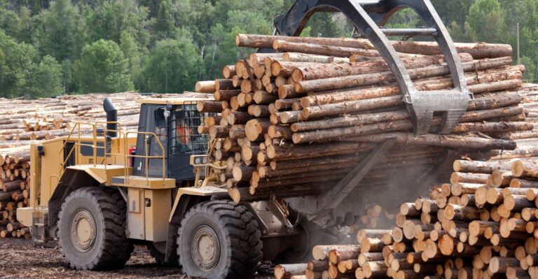 Tariffs on Canadian Softwood Lumber Hitting US Homebuyers Hard