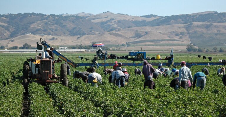 Supreme Court Protects Property Rights Against Union Trespass