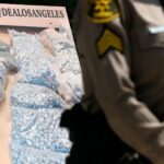 America Must Address Its Other Epidemic: Fentanyl Overdoses