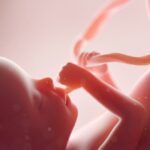 Report Cites These Scientific Facts About Unborn Babies at 15 Weeks