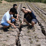 China's Heat Wave, Water Shortage Threaten Its Role in Global Supply Chain