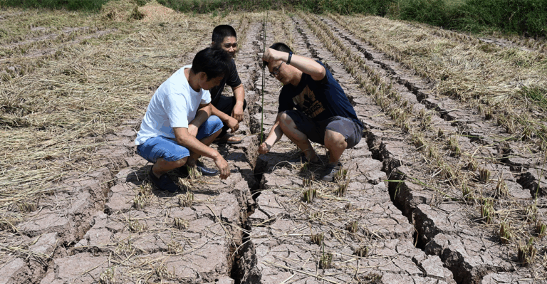China’s Heat Wave, Water Shortage Threaten Its Role in Global Supply Chain