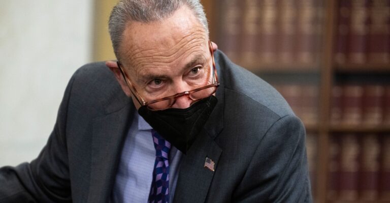 Schumer’s Ugly ‘Voting Rights’ Gamble