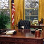 'Purr-fect' Press Panders Over Biden's New Cat