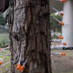 Amazon Bails Out of Downtown Seattle Due to Violent Crime Surge, Dodges Consequence of Woke Policies