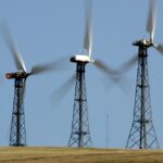 Earth Day Activists Ignore Big Wind’s 'Carnage' for Eagles